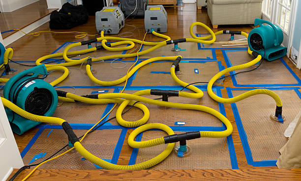 Professional Burst Pipe Water Damage technician working in Holly Springs, GA